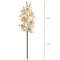 30" White Cymbidium Orchid Stems - Lifelike Artificial Flowers, Set of 12, Perfect for Bouquets, Events & Home Decor - Elegant Year-Round Decoration, Floral Home by Artificial Flowers